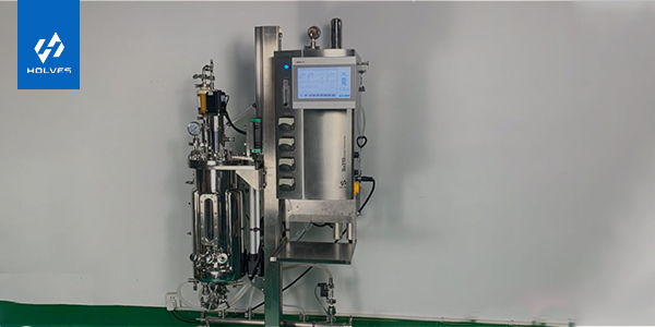 黄瓜视频下载黄需要具备的条件 黄瓜视频下载黄需要具备的条件